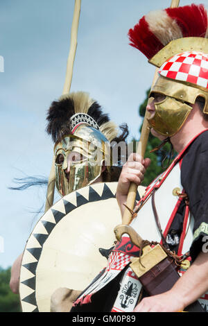 Hopliten. Antiken griechischen Soldaten am Reenactment. UK Stockfoto