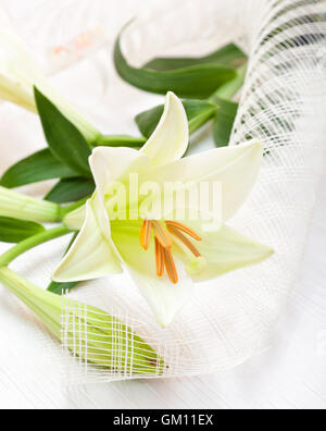 Schöne weiße Ostern Lilie Blume Blumenstrauß, religiöses Symbol der ersten Heiligen Kommunion. Stockfoto