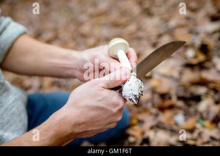 Nicht erkennbare Mann im Wald mit Mushoom, Reinigung Stockfoto