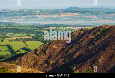 Am frühen Morgensonnenlicht auf Perkins Beach, Teil des Stiperstones National Nature Reserve, Shropshire. Stockfoto