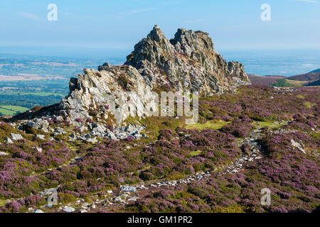 Des Teufels Stuhl auf der Stiperstones National Nature Reserve, Shropshire, England, UK. Stockfoto