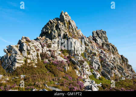 Des Teufels Stuhl auf der Stiperstones National Nature Reserve, Shropshire, England, UK. Stockfoto