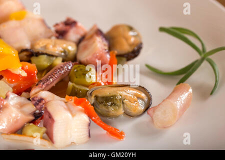 Salat mit Meeresfrüchten mit einem Tintenfisch, Thunfisch Filet, Fleisch der Muscheln Stockfoto