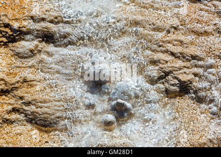 Extrem Closeup Blick von Terrasse in Mammoth Hot Springs im Yellowstone-Nationalpark Stockfoto