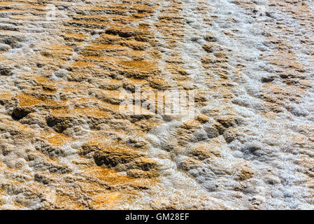 Detailansicht des Wasser läuft über eine Terrasse in Mammoth Hot Springs im Yellowstone-Nationalpark Stockfoto