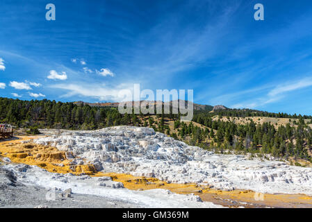 Travertin Terrassenlandschaft im Yellowstone National Park in der Nähe von Mammoth Hot Springs Stockfoto