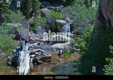 Bergbach im Hoover & Yosemite Wilderness, Humbolt-Toiyabe National Forest, CA Stockfoto