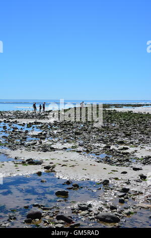 Ebbe in la Tranche Sur Mer entlang der Küste von Frankreich vendee Stockfoto