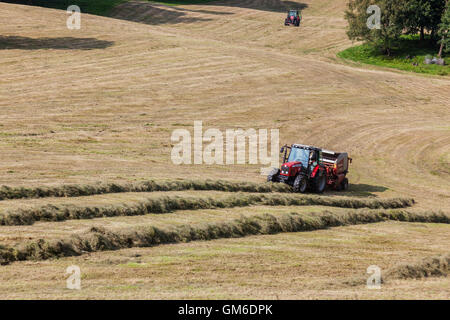 Heu machen in Cumbria Stockfoto