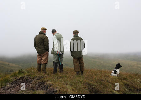 Drei Männer erkunden die Landschaft während einer Moorhuhn schießen in hoch auf der Yorkshire Moors in swinithwaite, North Yorkshire. Stockfoto