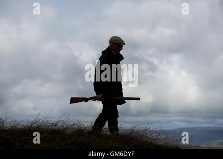 Ein Mann geht mit seiner Schrotflinte während einer Moorhuhn schießen in hoch auf der Yorkshire Moors in swinithwaite, North Yorkshire. Stockfoto