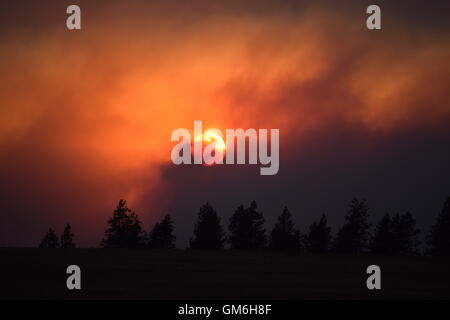 Sonnenuntergang durch Rauch. Stockfoto