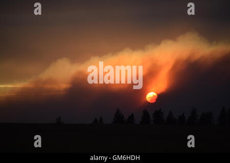 Untergehende Sonne durch Rauch. Stockfoto