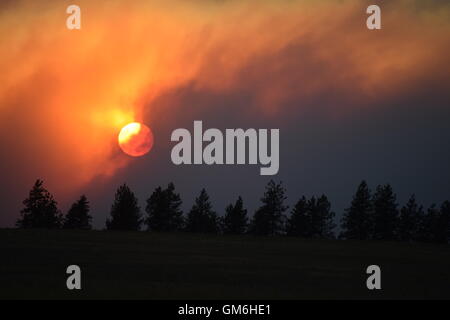 Sonne durch Rauch von Wildfire. Stockfoto