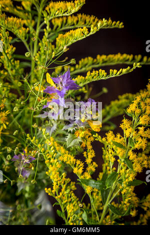 Wildblumen in einen Blumenstrauß auf einem Holztisch Stockfoto