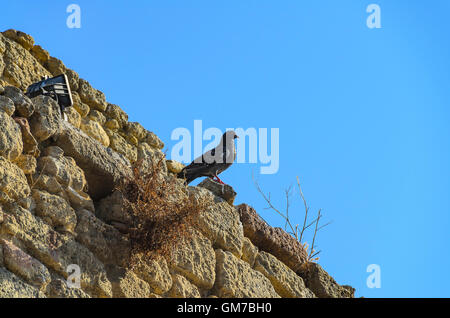 MIRAMAS LE VIEUX, BDR FRANKREICH 13 Stockfoto