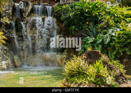 Wasserfall bei Balata botanische Gärten Guadeloupe Antillen Stockfoto