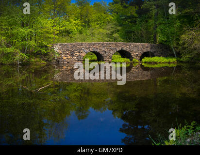 Brücke im Parc national du Mont-Saint-Bruno Stockfoto