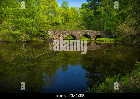 Brücke im Parc national du Mont-Saint-Bruno Stockfoto