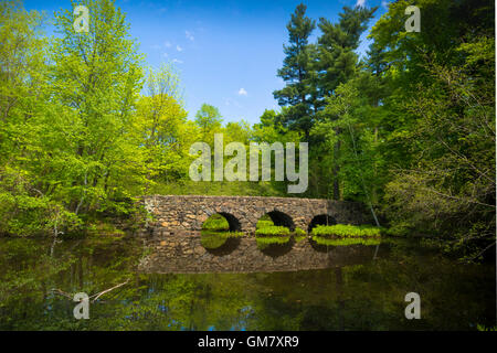 Brücke im Parc national du Mont-Saint-Bruno Stockfoto