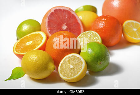 Zitrusfrüchte Stockfoto