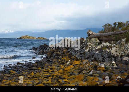 Zerklüftete Küste der Insel Navarino am Beagle-Kanal an der Südspitze von Chile Stockfoto