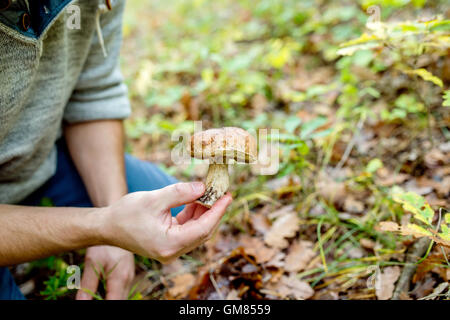 Nicht erkennbare junger Mann, sammeln von Pilzen im herbstlichen Wald Stockfoto