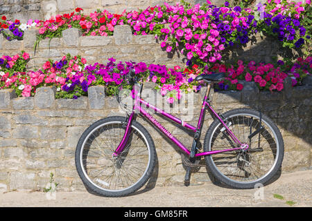 Crystal Mountain-Bike gelehnt Steinmauer mit bunten Blumen Petunien auf Promenade in Poole, Dorset im August zu wagen Stockfoto