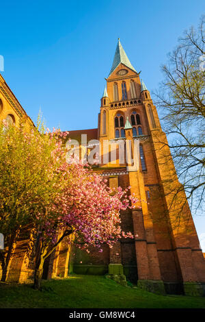 Schweriner Dom, Mecklenburg-Vorpommern, Deutschland Stockfoto