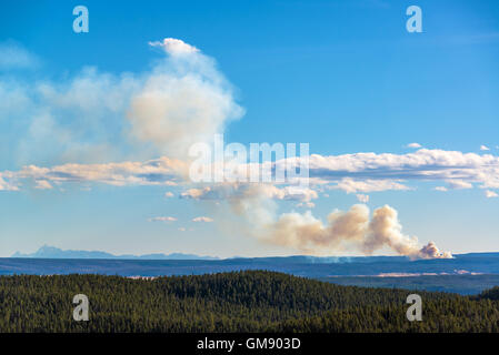 Blick auf ein Lauffeuer brennen im Yellowstone National Park Stockfoto