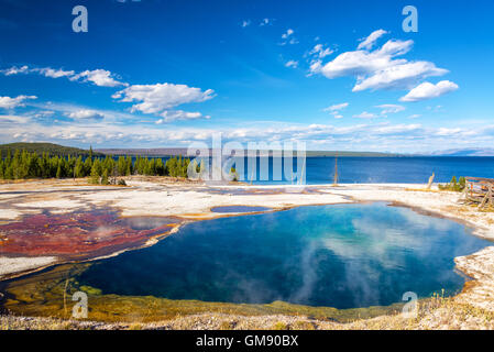 Bakterien-Matte und Abgrund Pool am West Thumb Geyser Basin im Yellowstone National Park Stockfoto