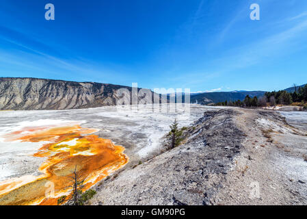 Schöne Bakterien Matte und Landschaft in der Nähe von Mammoth Hot Springs im Yellowstone-Nationalpark Stockfoto