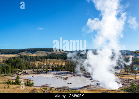 Dampf-steigende hoch in den Himmel im Bereich Schlamm Vulkan im Yellowstone National Park Stockfoto