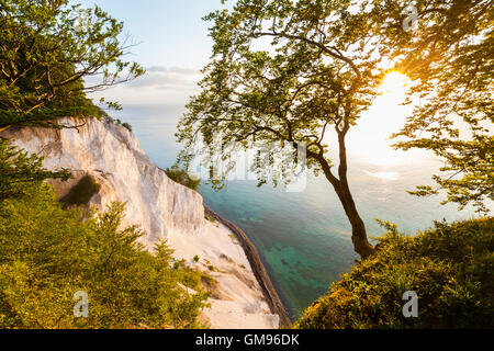 Dänemark, Insel Mon, Mons Klint, Kreidefelsen Stockfoto