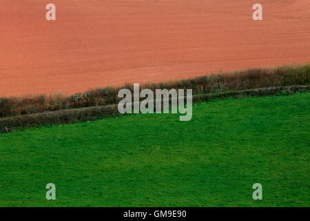 Felder in der Nähe von Berry Pomeroy, Devon, England, UK Stockfoto