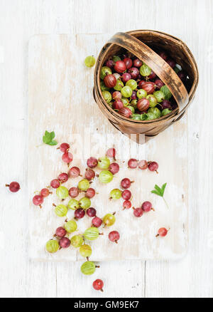 Vielzahl von Reife Garten Stachelbeeren in Birkenrinde Korb Stockfoto