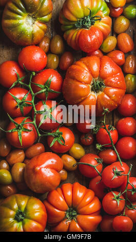 Bunte Tomaten in verschiedenen Größen und Arten Stockfoto