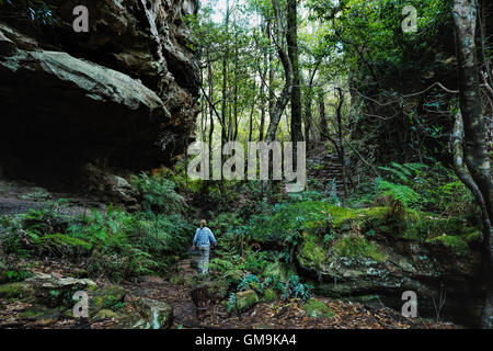 Australien, New South Wales, Blue Mountains National Park, Reife Frau zu Fuß durch Bergregenwald Stockfoto