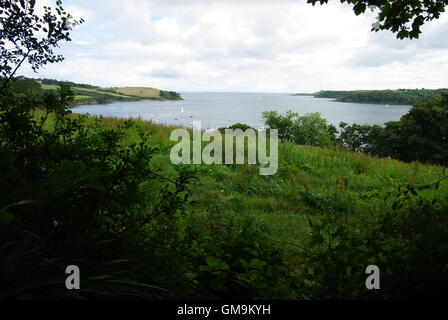 Die Helford River von Trebah Gärten, Mawnan Smith in der Nähe von Falmouth, Cornwall Stockfoto