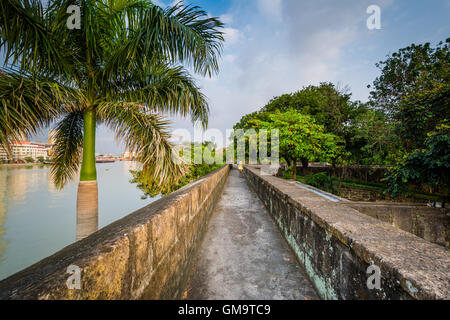 Palm-Baum und Mauern entlang des Flusses Pasig, am Fort Santiago, Intramuros, Manila, Philippinen. Stockfoto