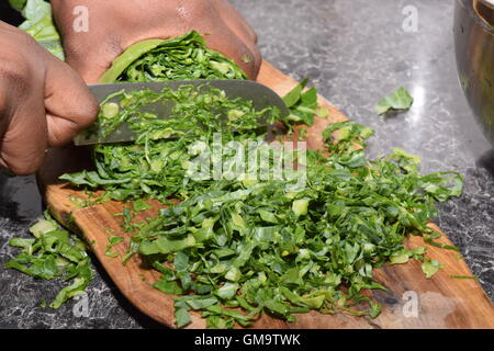 Nahaufnahme einer Hand hacken Grüns Stockfoto