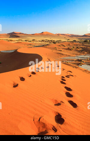 Fußspuren auf den Sanddünen geprägt durch den Wind Deadvlei Sossusvlei Wüste Namib Naukluft National Park in Namibia Afrika Stockfoto