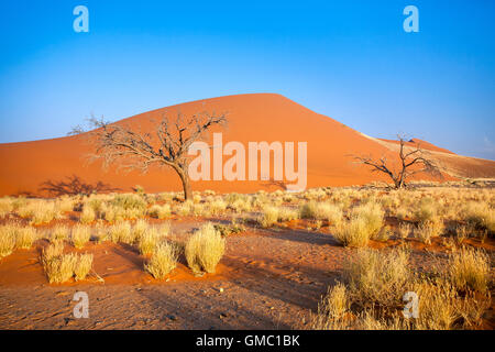 Düne 45 komponierte die Sterne Düne von 5 Millionen Jahre alten Sand Sossusvlei Namib Wüste Naukluft National Park in Namibia Afrika Stockfoto