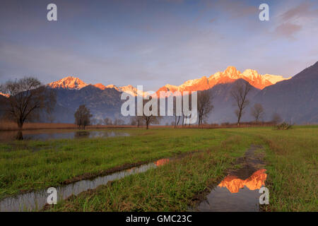 Naturschutzgebiet Pian di Spagna überflutet mit schneebedeckten Gipfeln spiegelt sich in dem Wasser bei Sonnenuntergang Valtellina Lombardei Italien Europa Stockfoto