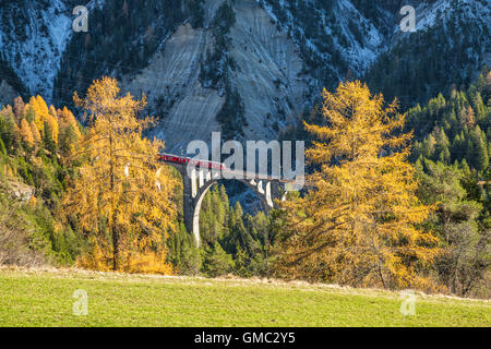 Bernina Express durchläuft Wiesner Viadukt umgeben von bunten Wäldern Kanton Graubünden Schweiz Europa Stockfoto