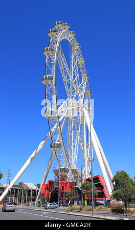 Melbourne Star, gigantische Riesenrad im Dezember 2013 eröffnet und zieht viele Einheimische und Touristen Stockfoto