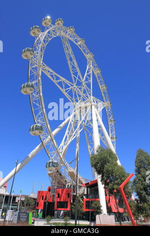 Melbourne Star, gigantische Riesenrad im Dezember 2013 eröffnet und zieht viele Einheimische und Touristen Stockfoto