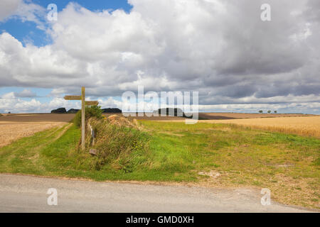 Ein Wegweiser aus Holz auf die Wolds Weise öffentlichen Fußweg in den malerischen Yorkshire Wolds im Sommer. Stockfoto