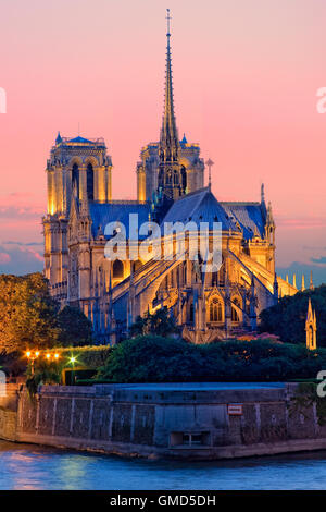 Die Kathedrale Notre Dame in Paris, Frankreich Stockfoto