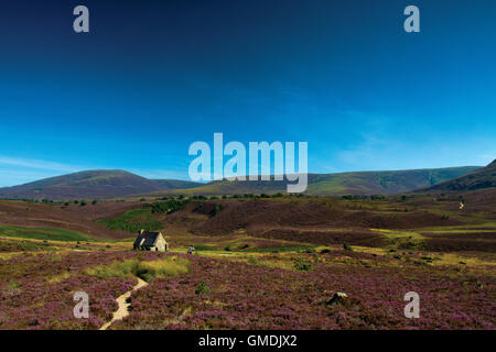 Ryvoan Bothy am Fuße des Meall ein Bhuachaille, Abernethy Nature Reserve, Cairngorm National Park, Aviemore Highland Stockfoto